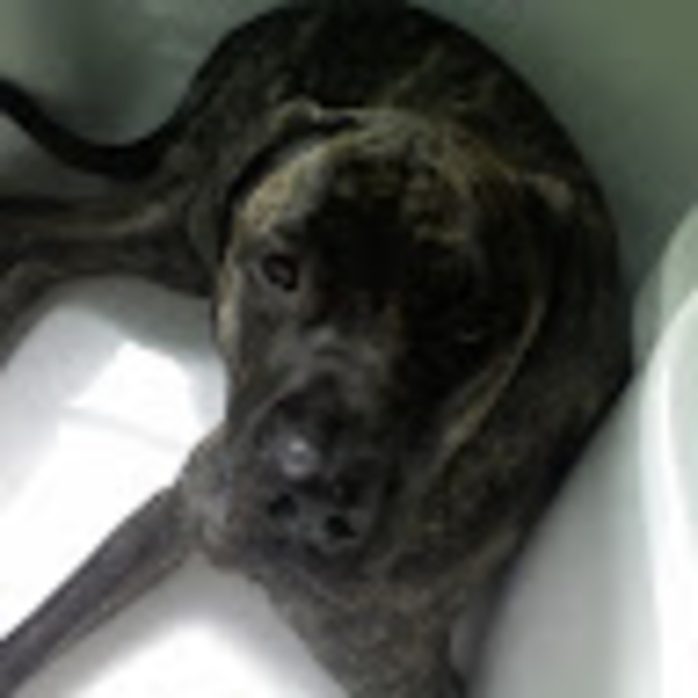 Meet your Posher, Karla